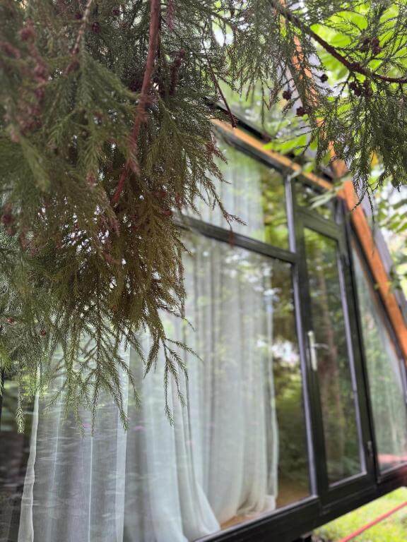 Фото Коттедж с ванной и видом на лес в 15 мин. от Батуми 🛁🌲