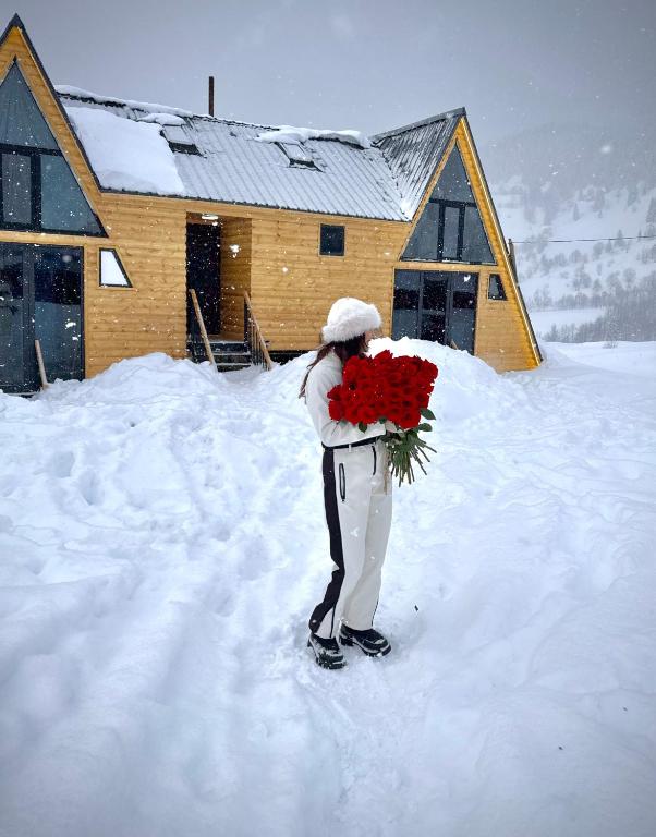 A-Frame-Häuser für 5 Gäste mit Holzofen, Foto 6