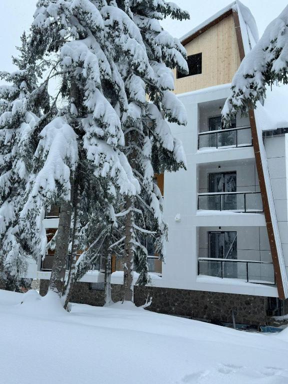 Apartments im Wald: Sauna, Restaurant, Frühstück, Foto 2