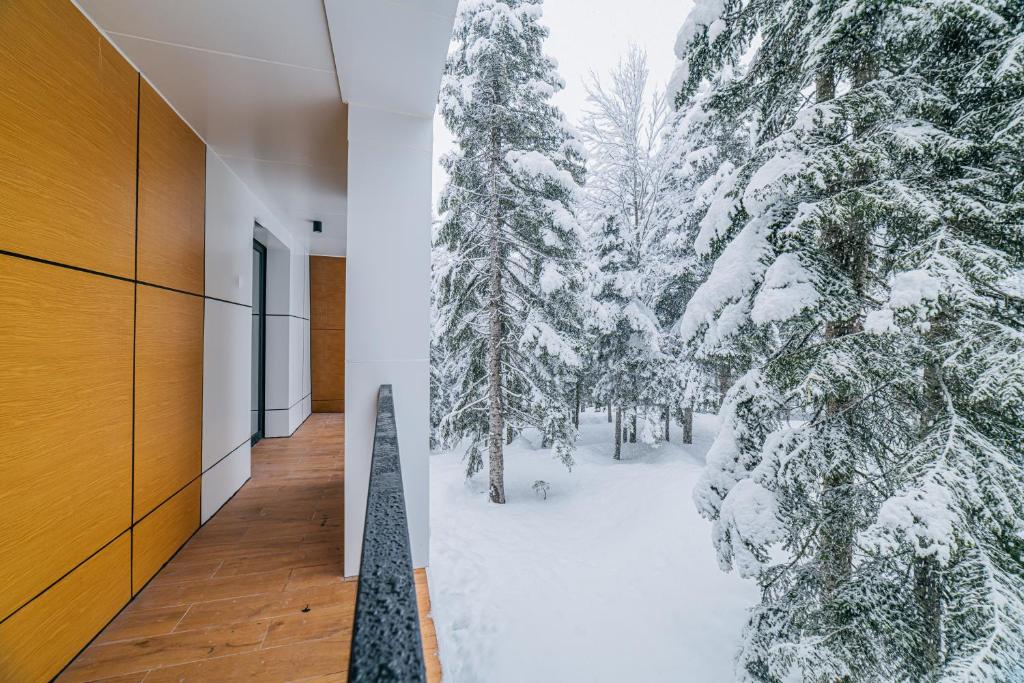 Apartments im Wald: Sauna, Restaurant, Frühstück, Foto 17