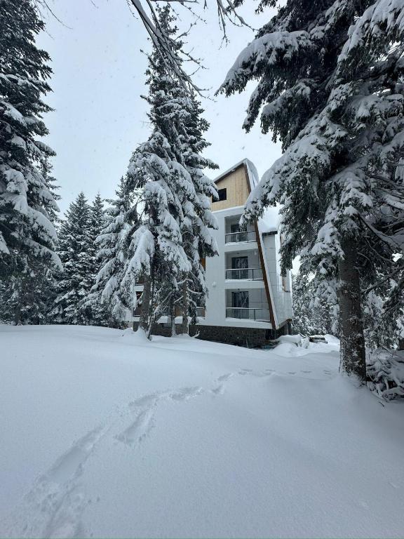 Apartments im Wald: Sauna, Restaurant, Frühstück, Foto 4