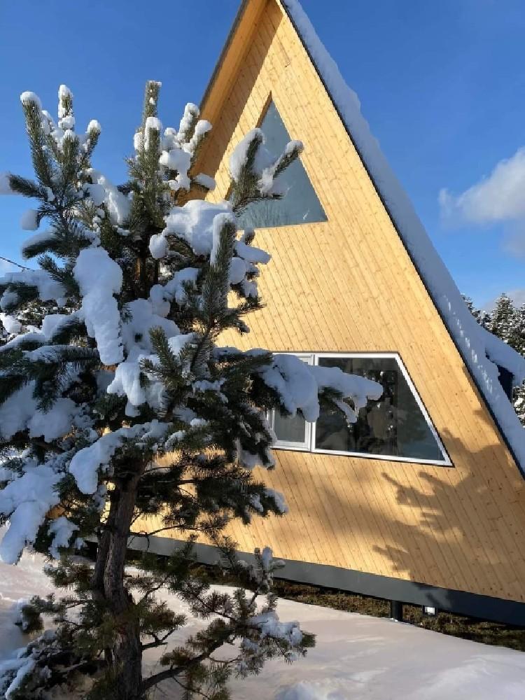 Фото Abies