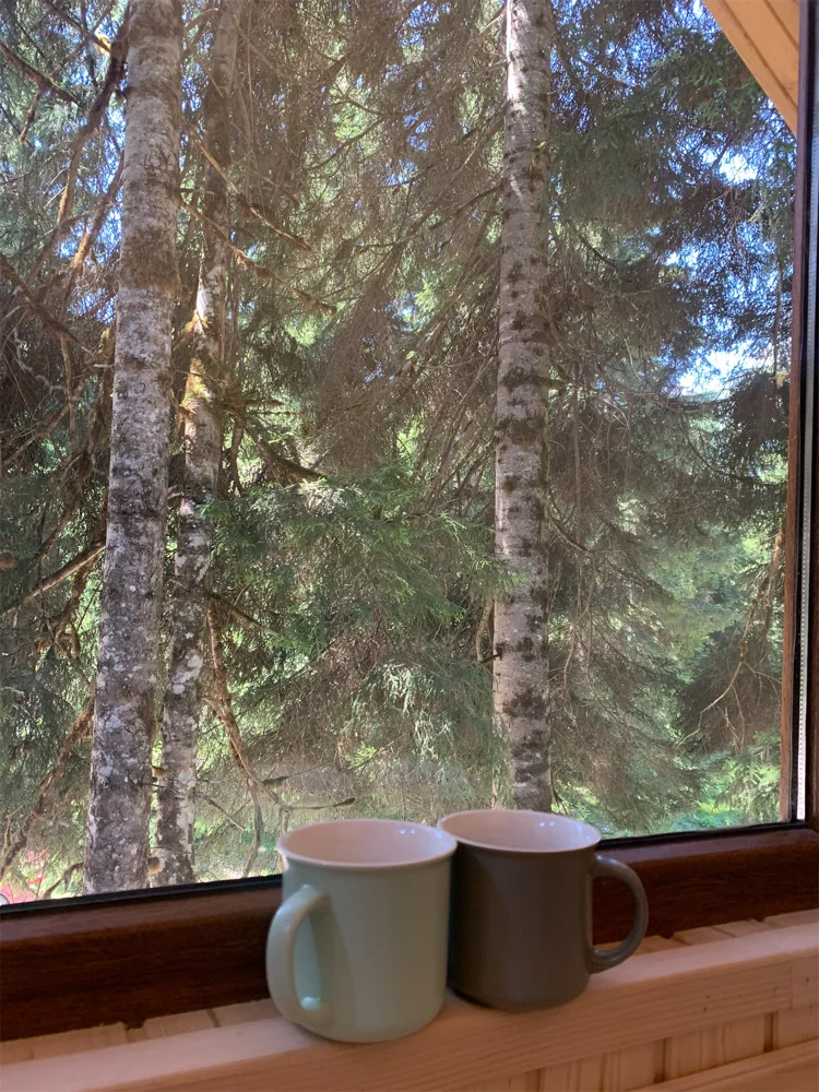 Photo of Alone in the forest