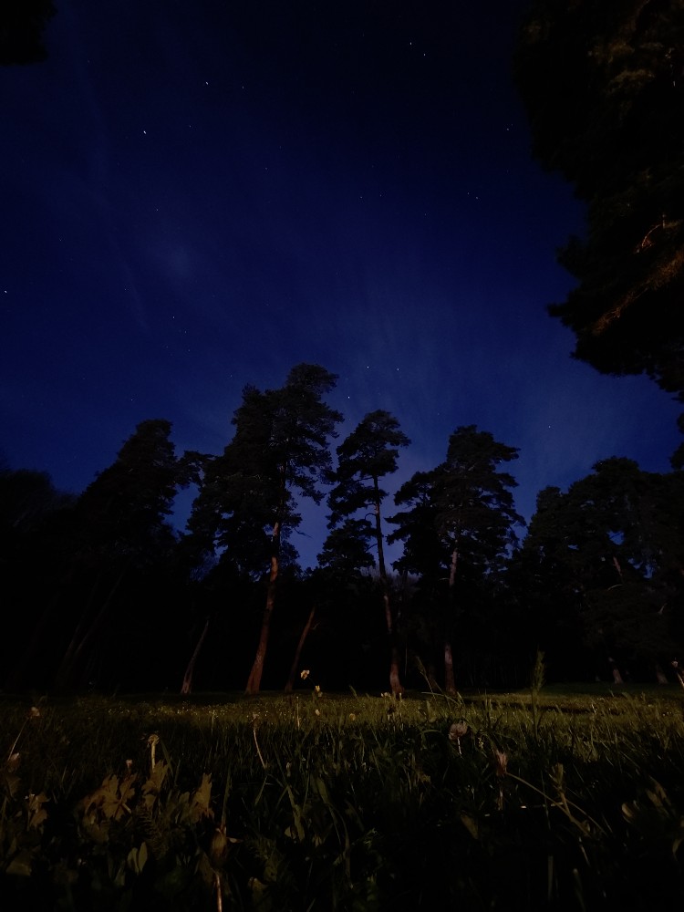 Фото Be Pine - Cottages in Manglisi
