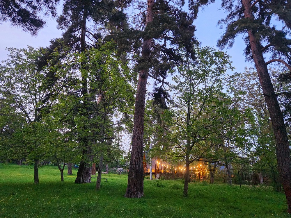 Фото Be Pine - Cottages in Manglisi