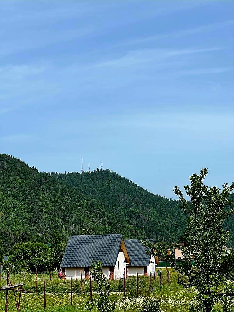 Photo of Borjomi inn cottages