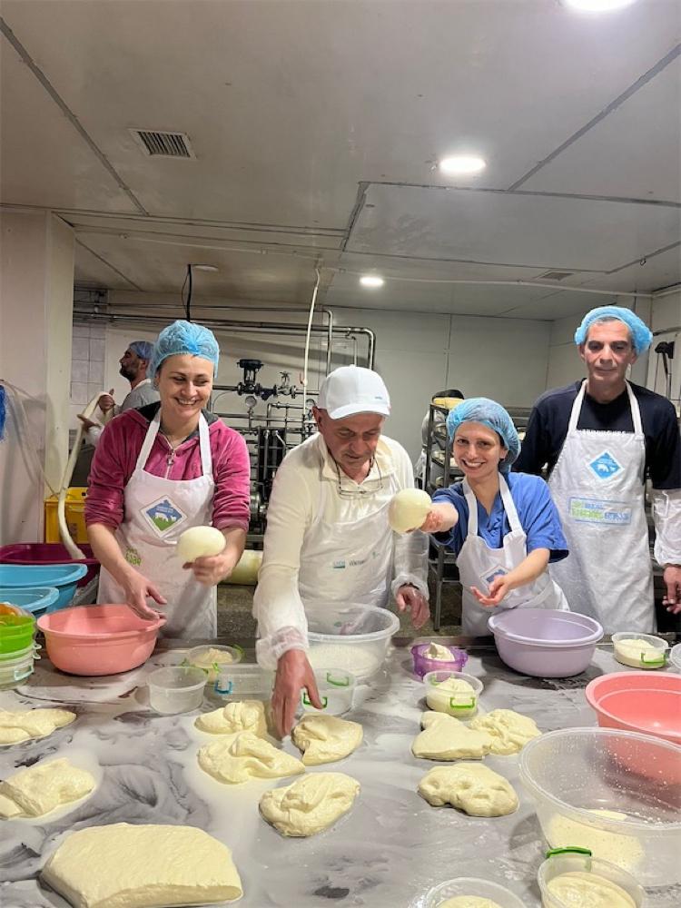 Фото Cheese degustations in Kakheti,Telavi