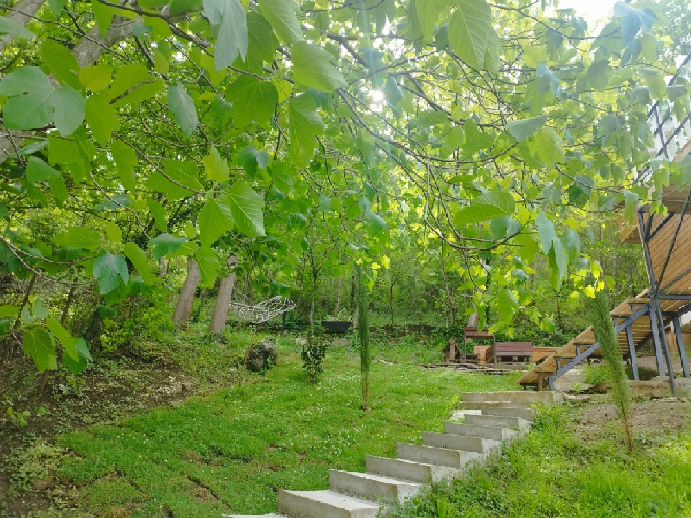 Photo of Comfortable family-friendly Cottage in Banoja