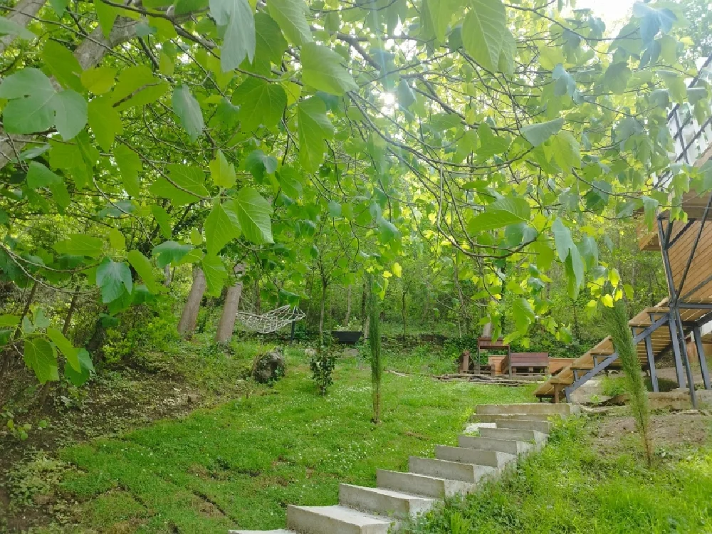 Photo of Comfortable family-friendly Cottage in Banoja
