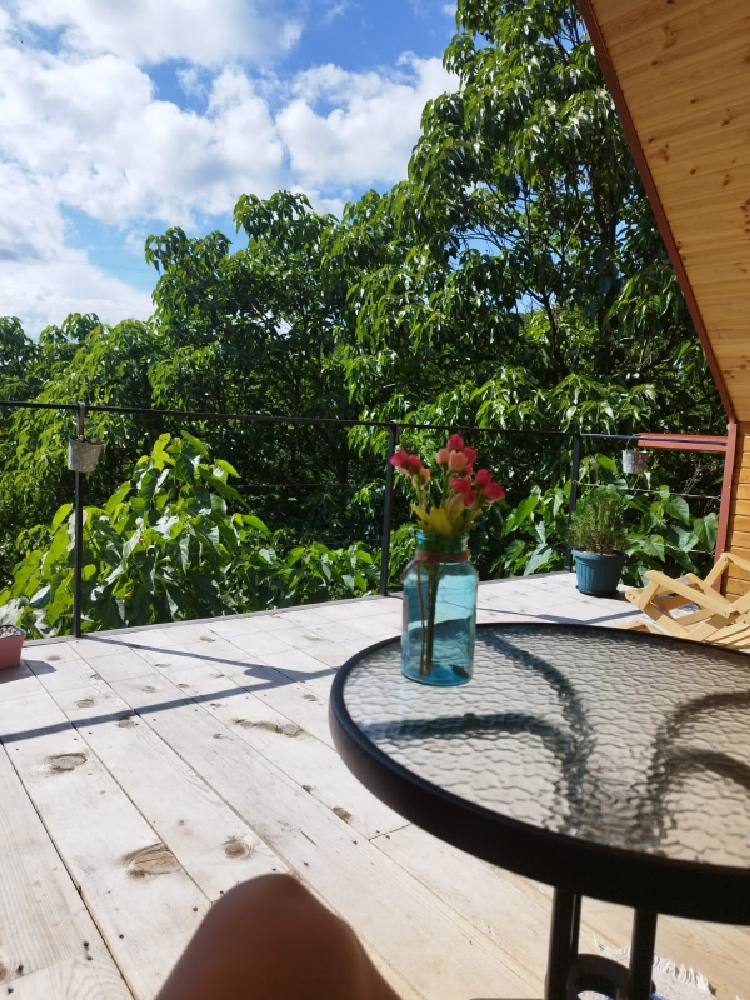 Photo of Comfortable family-friendly Cottage in Banoja