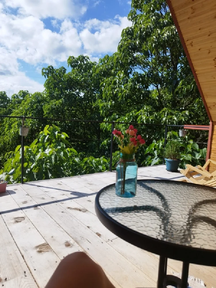 Photo of Comfortable family-friendly Cottage in Banoja