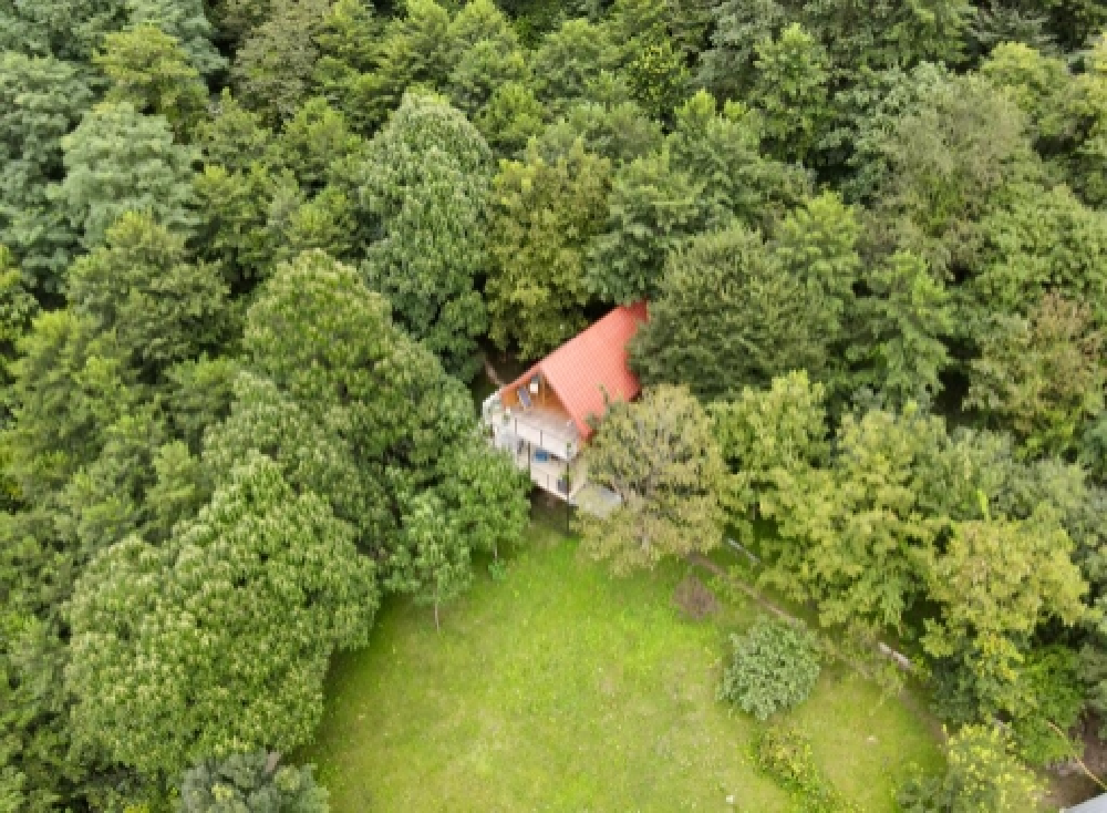 Photo of Comfortable family-friendly Cottage in Banoja