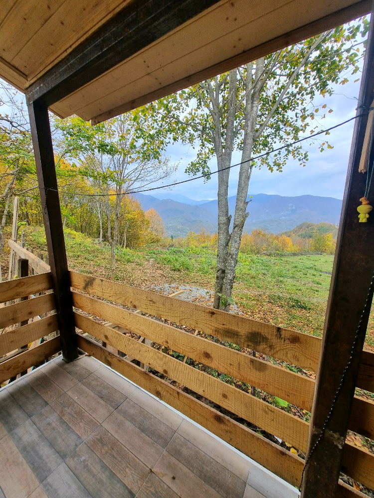 Фото Comfortable wooden Cottage in Ambrolauri