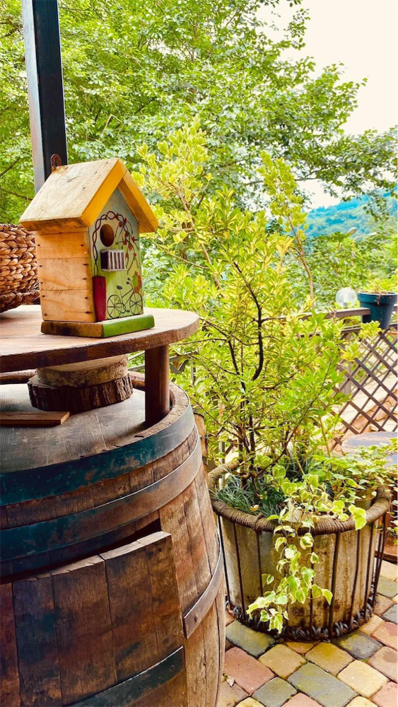 Photo of Cottage Chalet 1