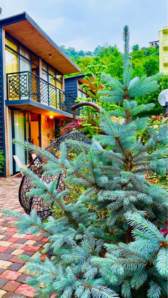 Photo of Cottage Chalet 3