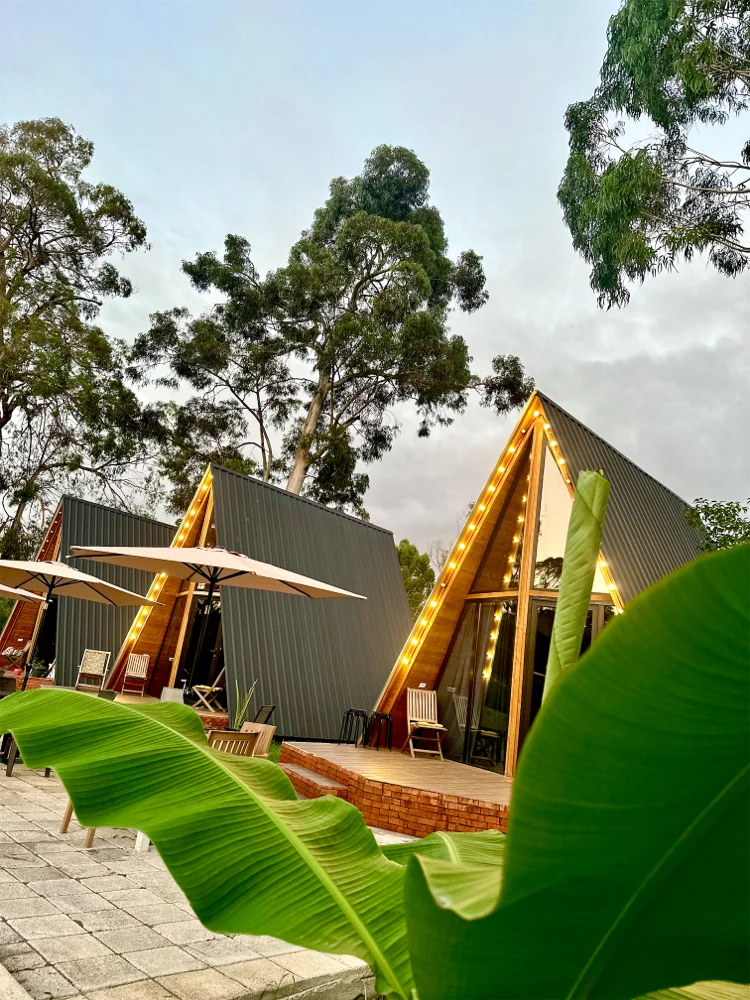 Photo of Cottage Eucalyptus