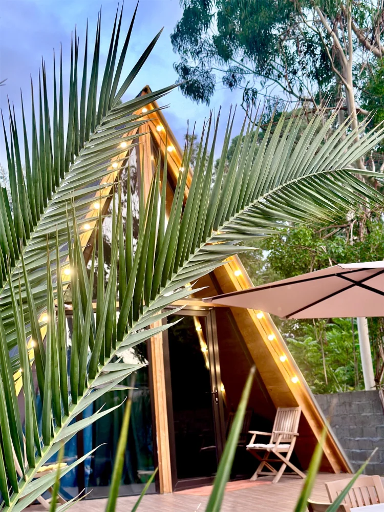 Photo of Cottage Eucalyptus