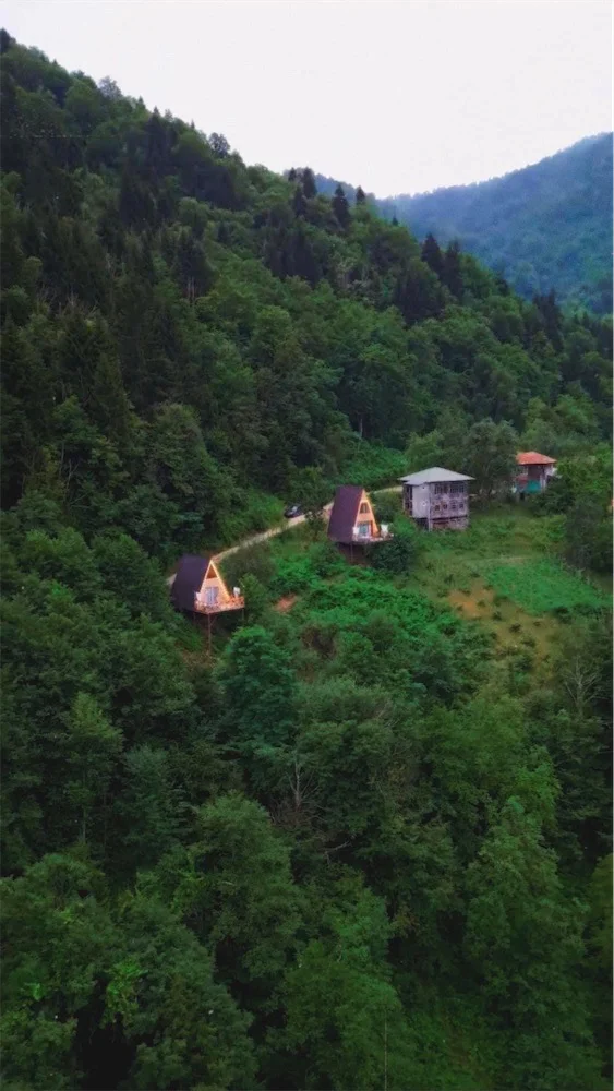 Cottage in Adjara, Keda, village Dandalo