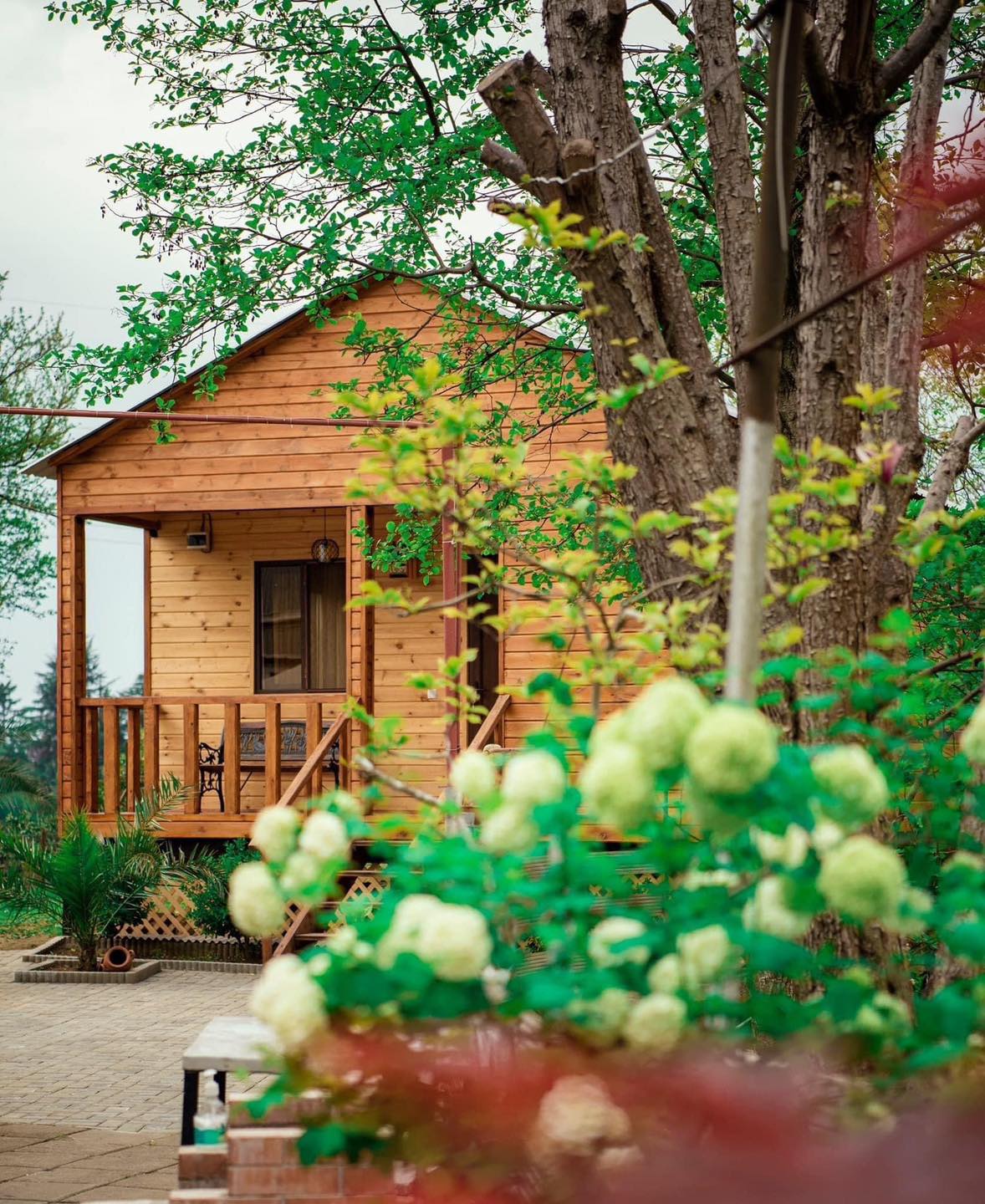 Фото Cottage in Buknari