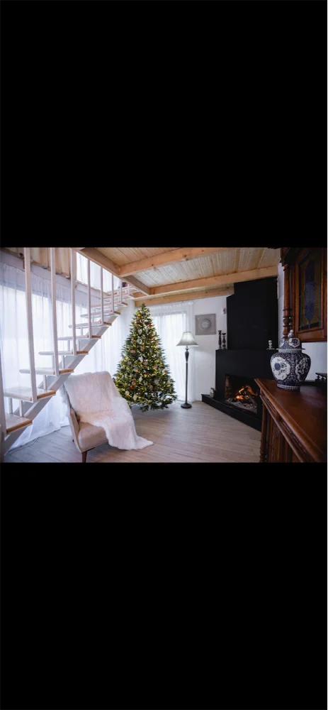 Photo of Cozy cottage in Nature