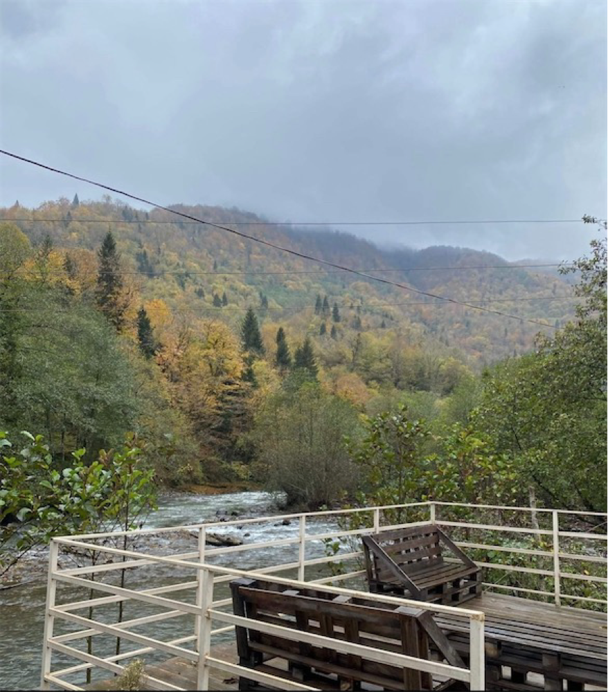 Photo of Cozy cottage in Nature