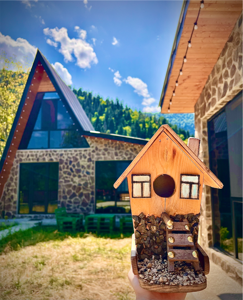 Photo of Cottage Orcs 🏡🐿️💫