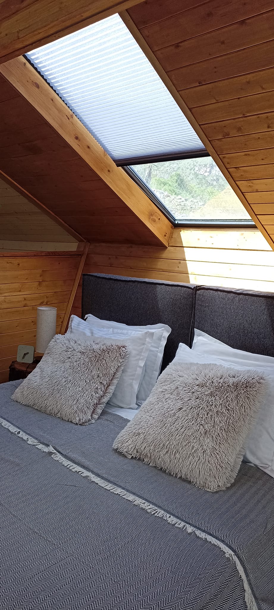 Фото Cottage Toladi