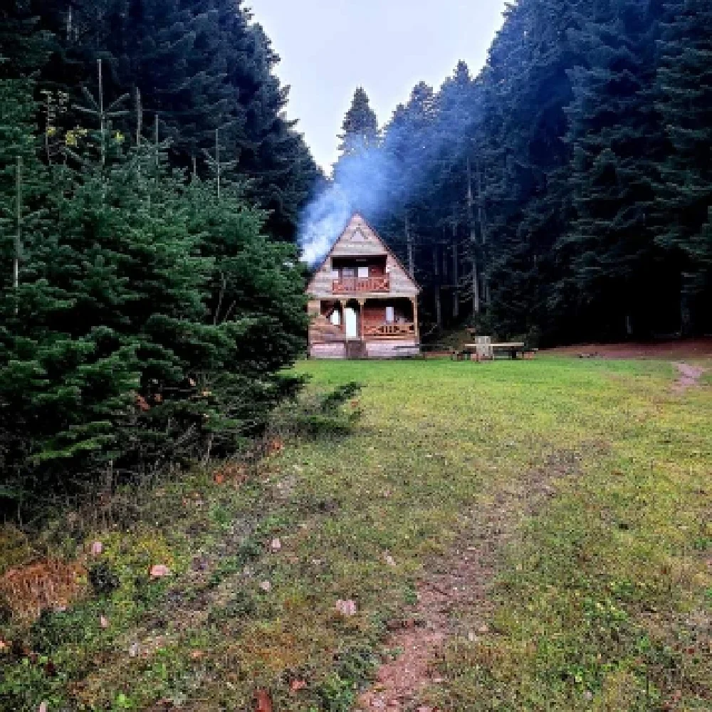 Photo of Cottage in nature