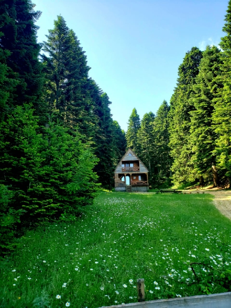 Фото Cottage near Agara