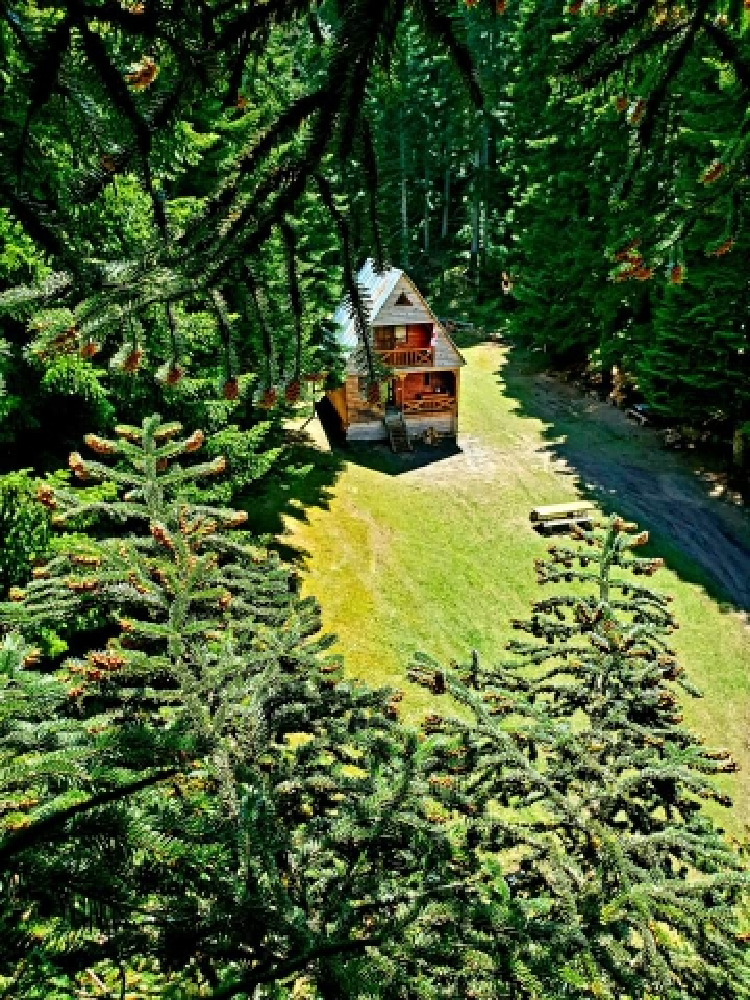 Фото Cottage near Agara