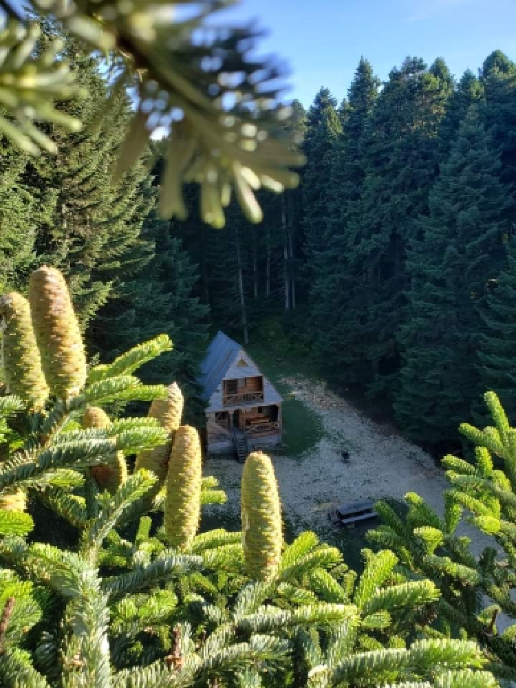 Фото Cottage near Agara