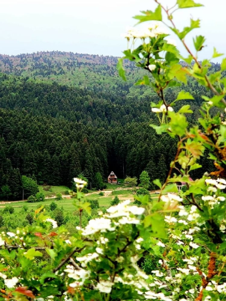 Фото Cottage near Agara
