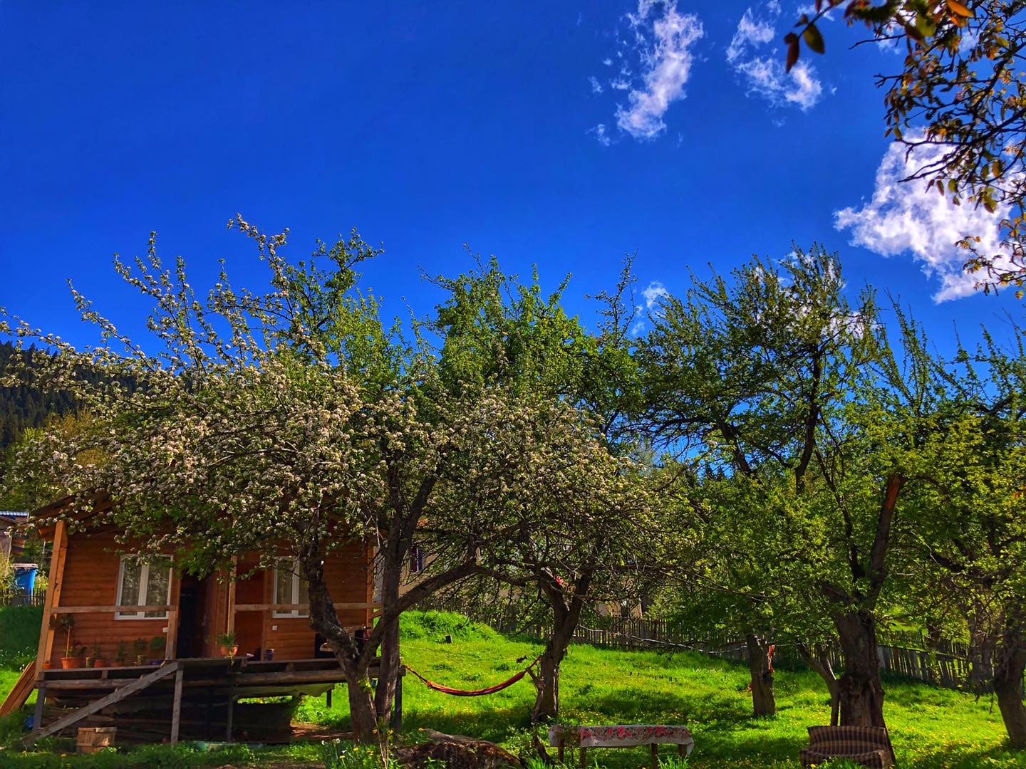 Фото Deka Cottage