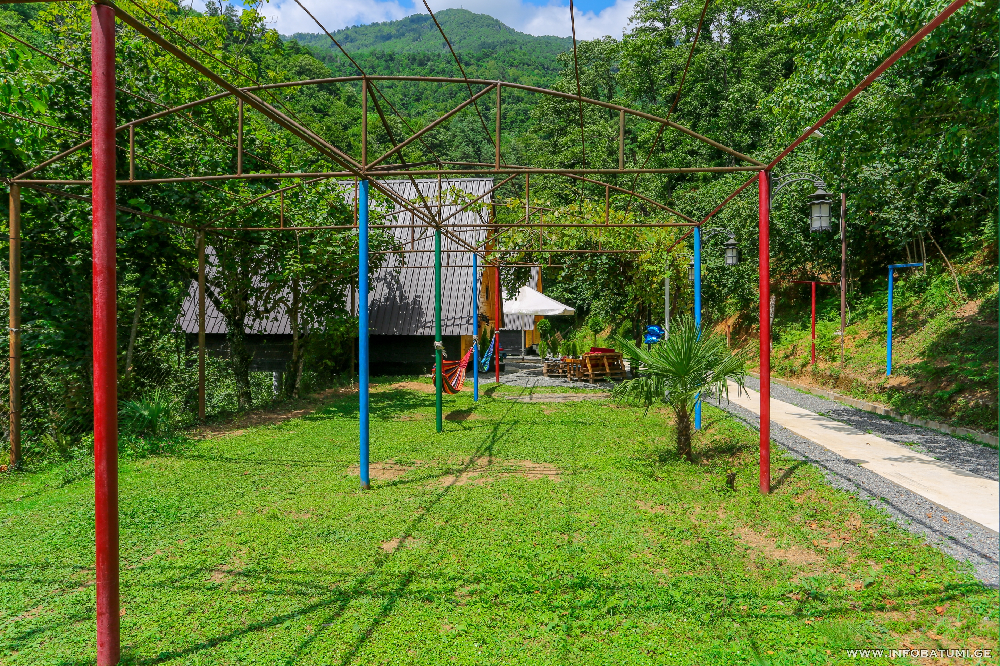 Photo of Discover Gulebi