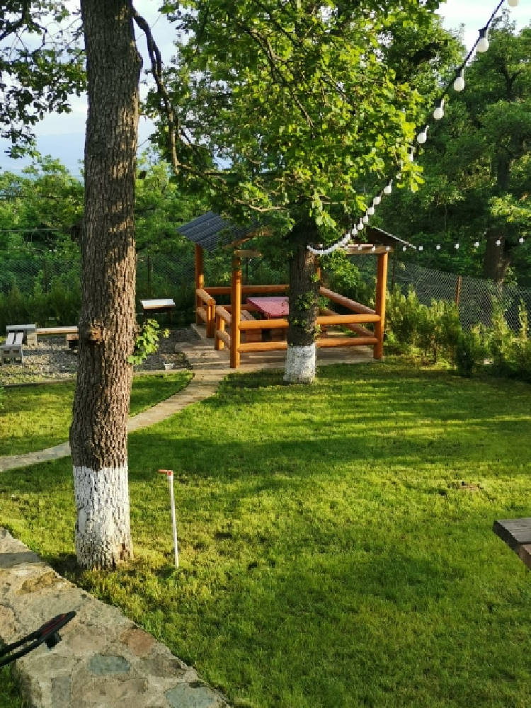 Photo of Eco Cottage in Kiketi