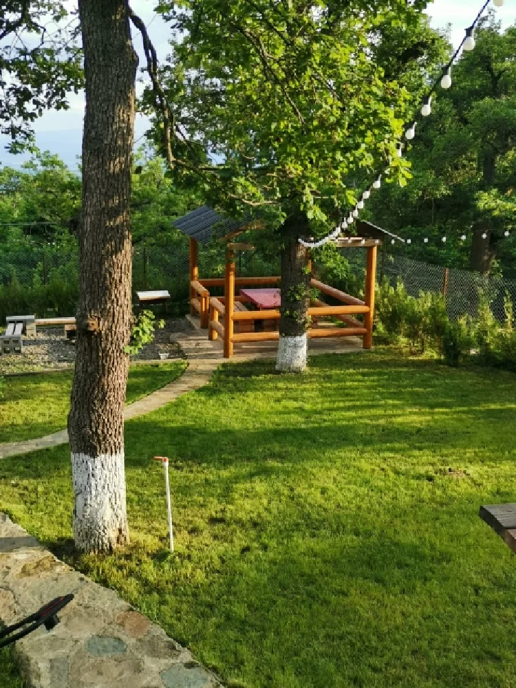 Photo of Eco Cottage in Kiketi
