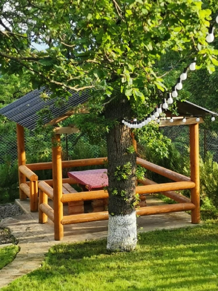 Photo of Eco Cottage in Kiketi