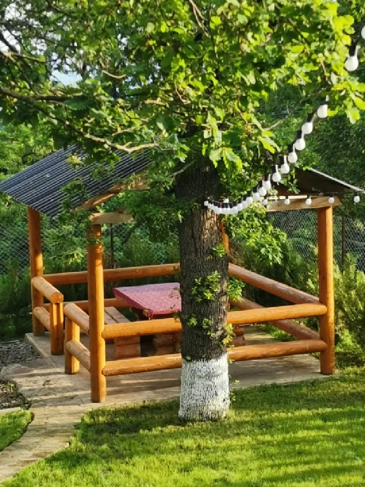 Photo of Eco Cottage in Kiketi