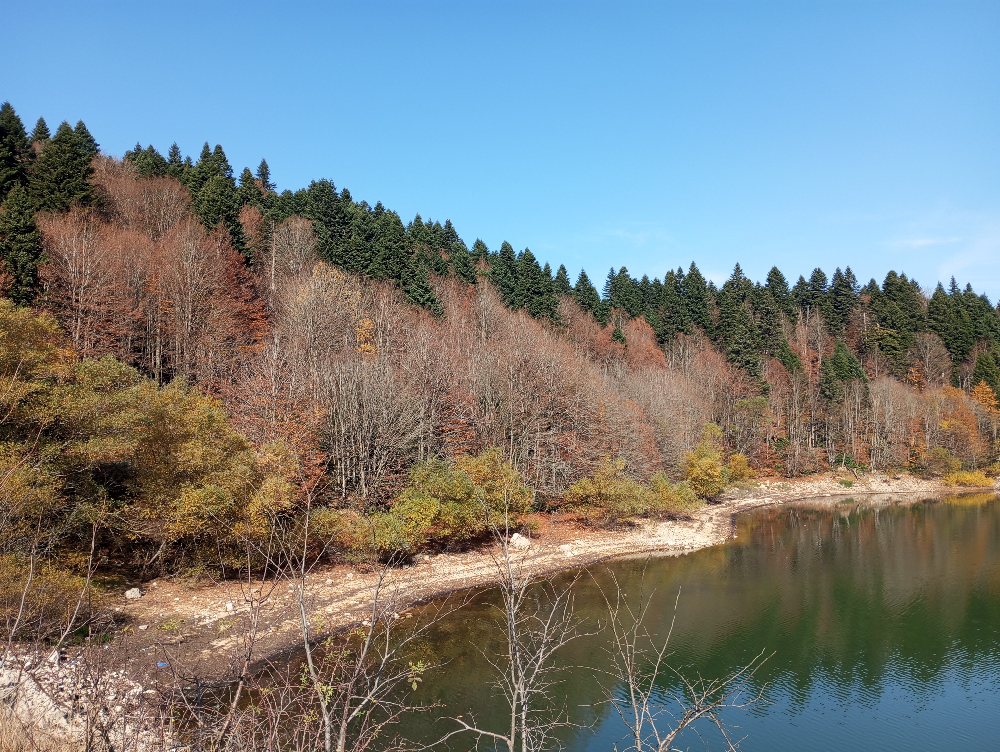 Фото Family-friendly Cottage in Nikortsminda