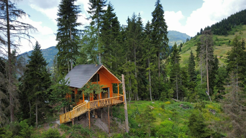 Фото Farvana Cottage