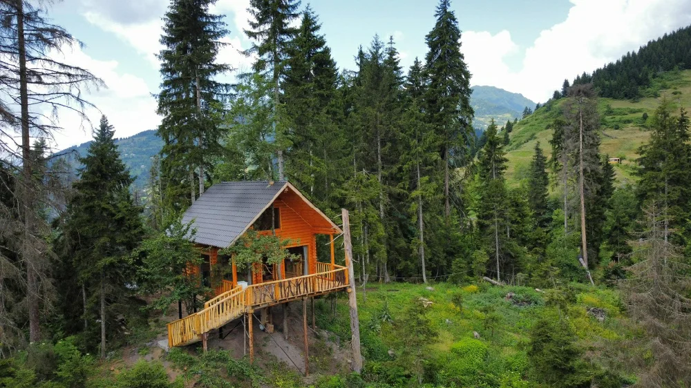 Photo of Farvana Cottage