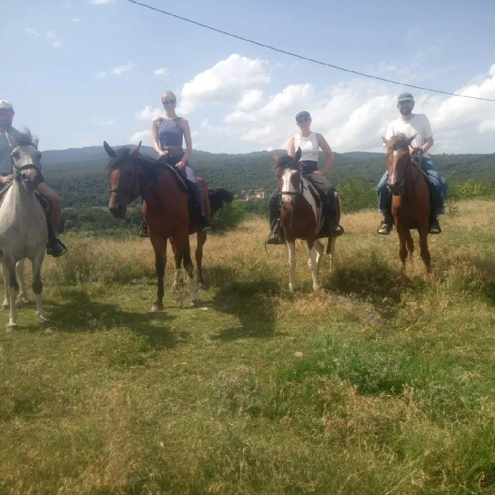 Photo of Forest Man's Ranch