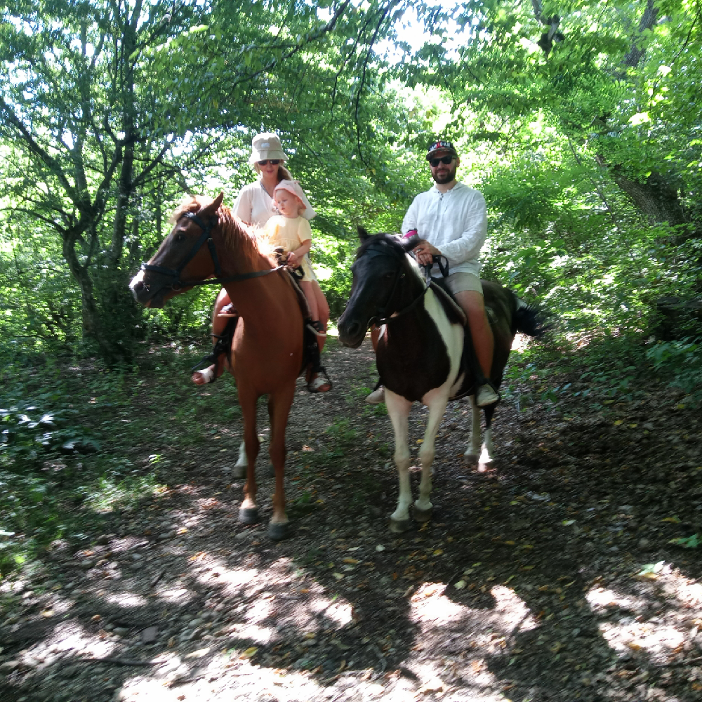 Фото Forest Man's Ranch