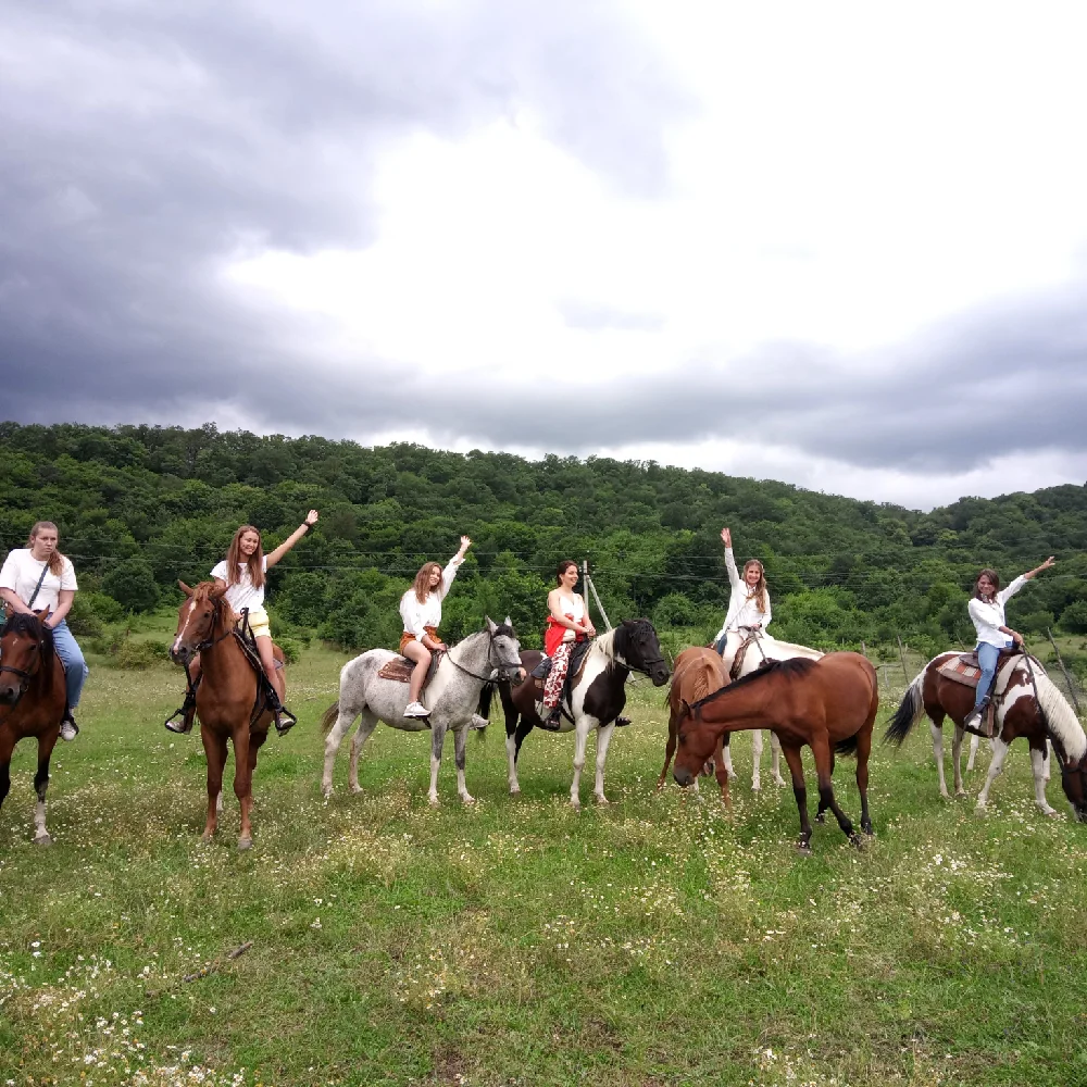 Photo of Forest Man's Ranch