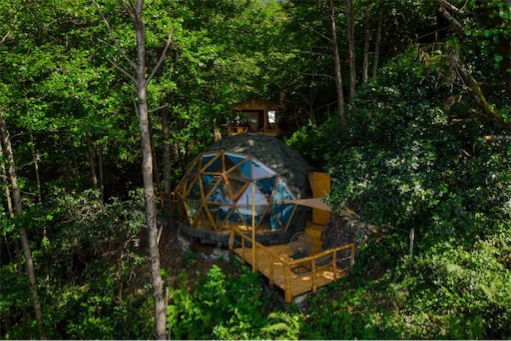 Фото Glamping Dome 1
