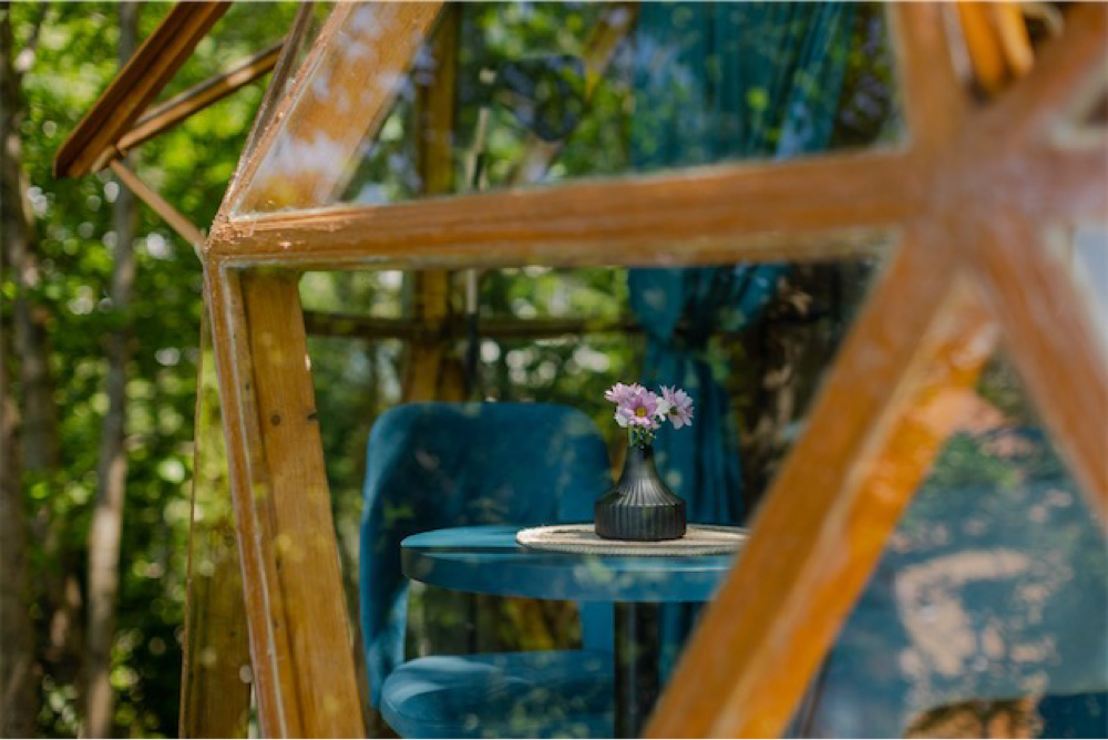 Фото Glamping Dome 1