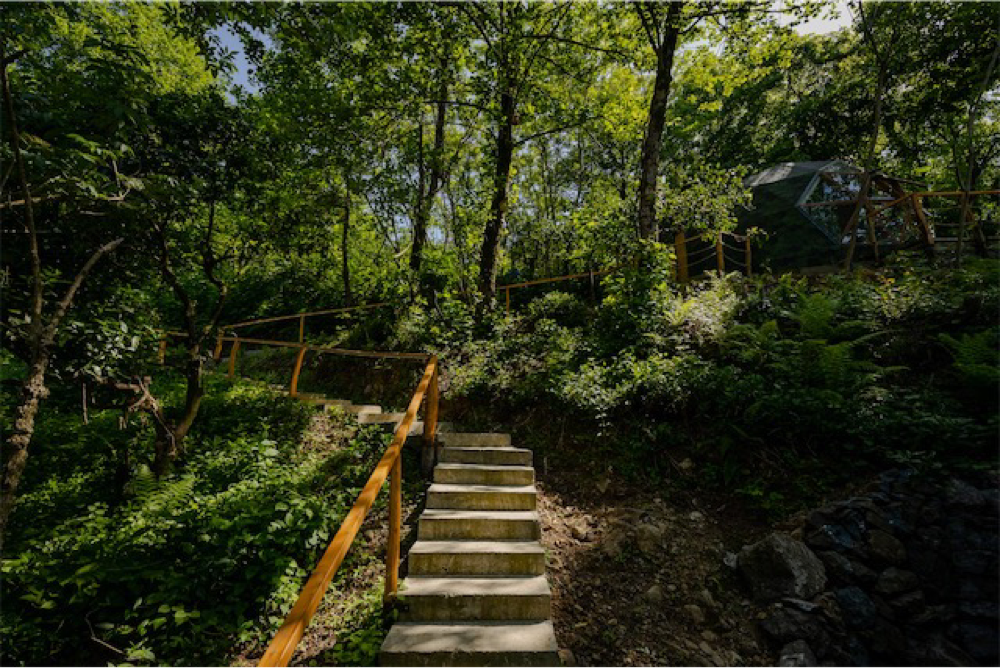 Photo of Glamping Dome 2