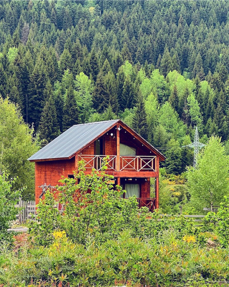 Фото Hill silence • Mestia