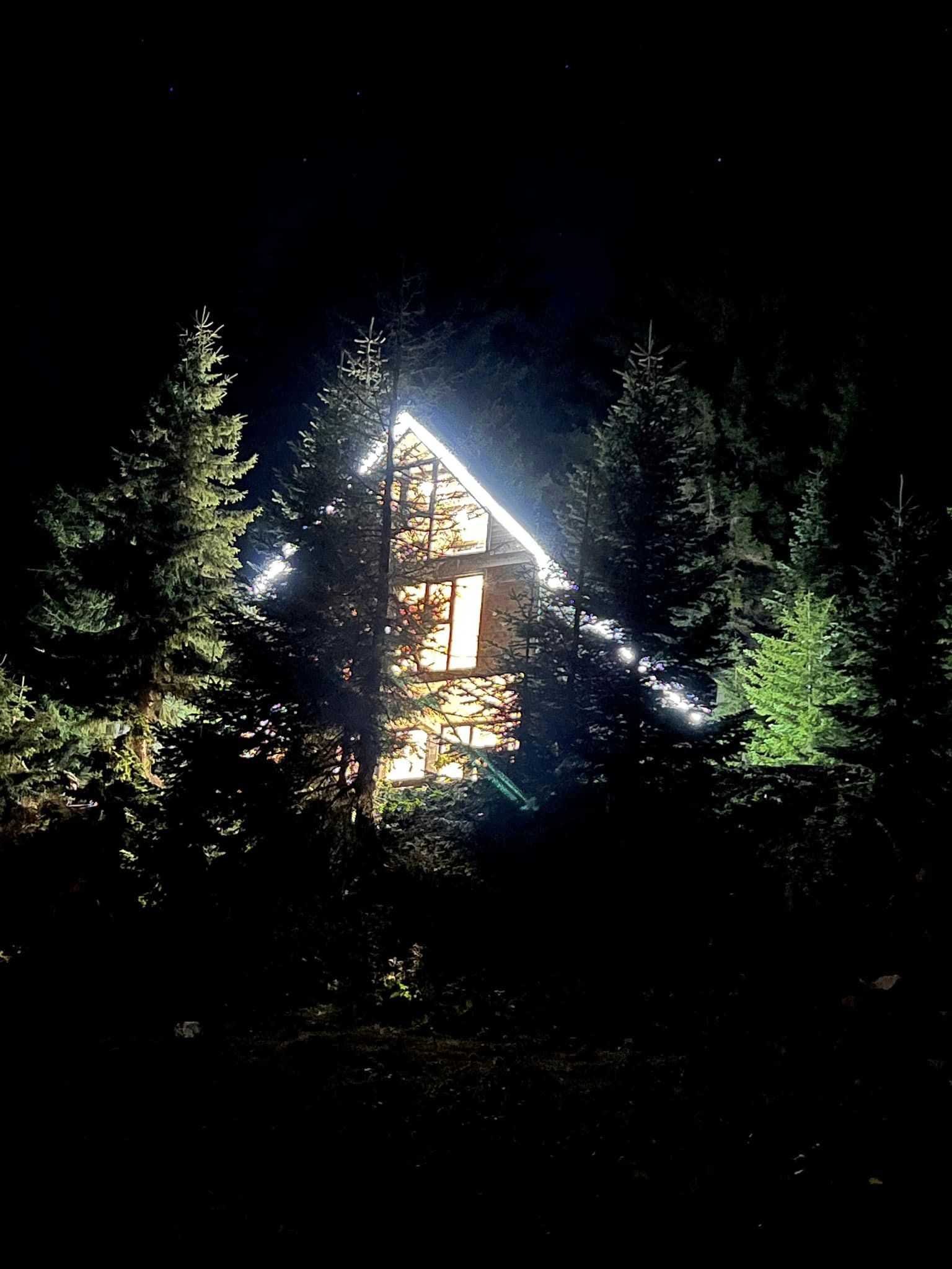 Фото House in the forest