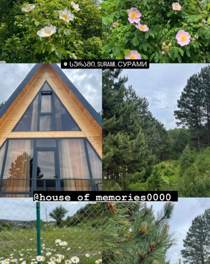 Фото House of memories